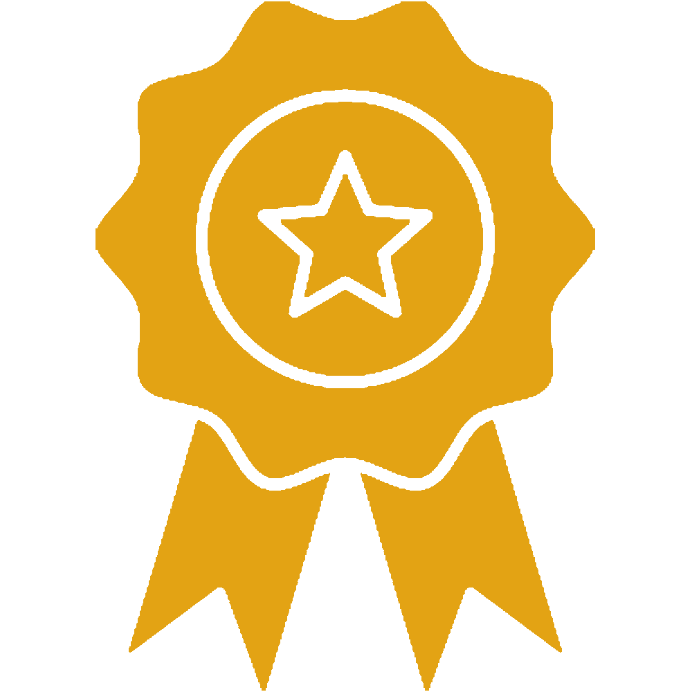 Excellence Icon